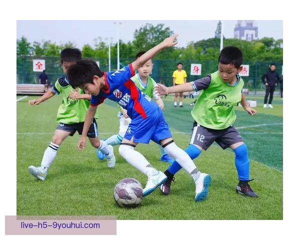 河南直播足球频道全景解读国内外赛事精彩瞬间与球迷共享绿茵激情